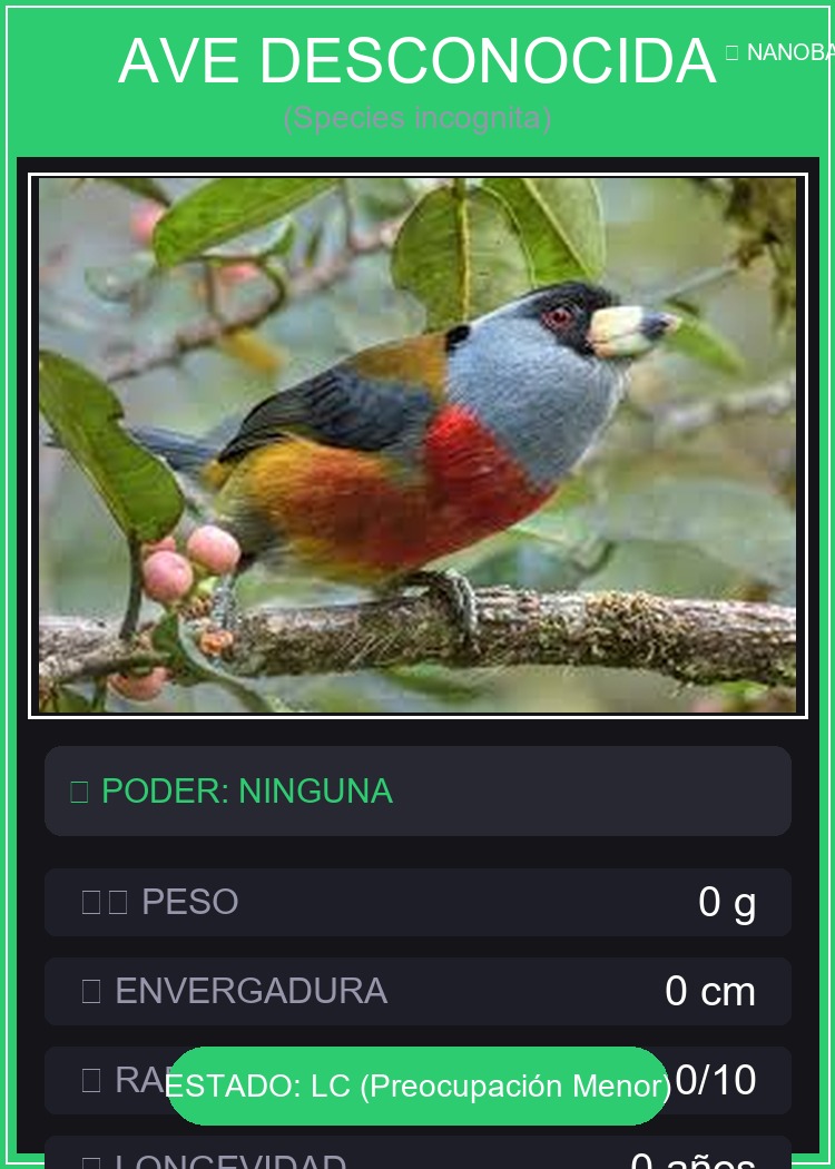 Ave desconocida — ficha